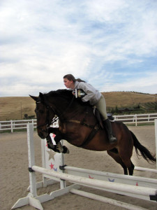 Horse jump